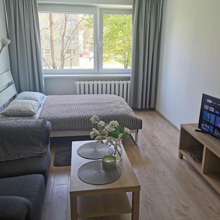 Modern Studio Debreceno, Self-Check-In, Free Parking Klaipėda Buitenkant foto