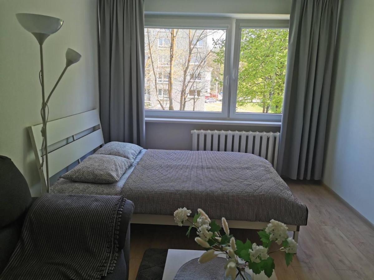 Modern Studio Debreceno, Self-Check-In, Free Parking Klaipėda Buitenkant foto