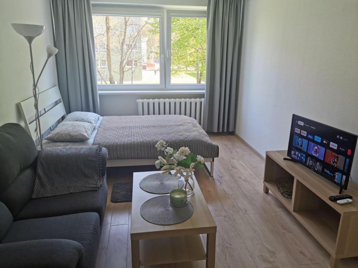 Modern Studio Debreceno, Self-Check-In, Free Parking Klaipėda Buitenkant foto