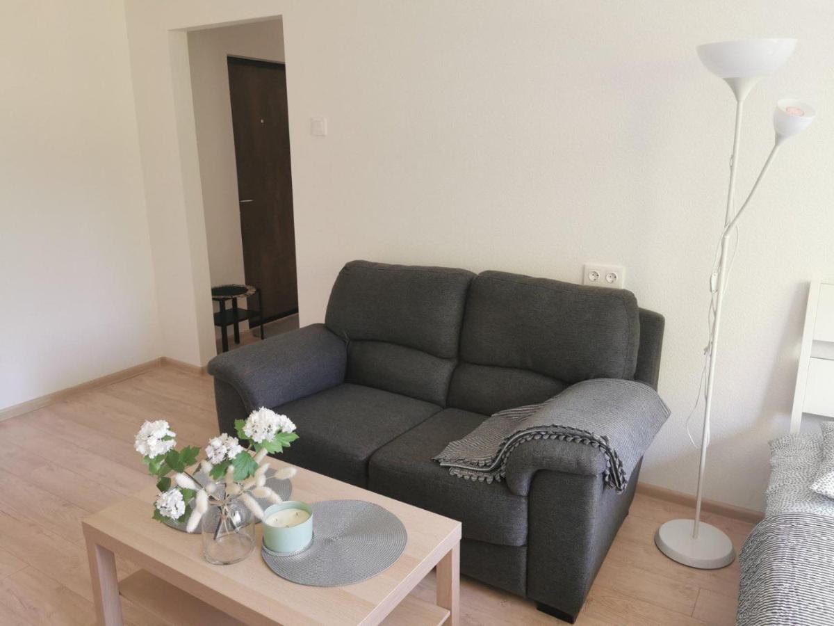Modern Studio Debreceno, Self-Check-In, Free Parking Klaipėda Buitenkant foto